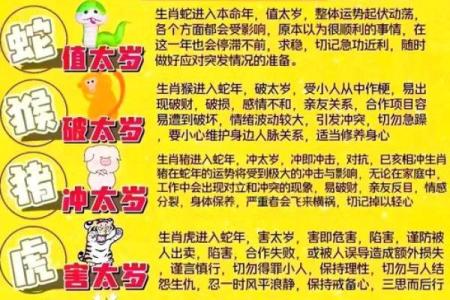 2025年羊年运势解析财运事业爱情全预测_1739565381