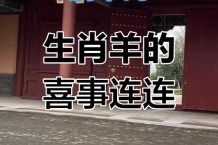 2025年属羊的多大 2025年属羊的多大岁数