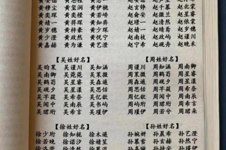 属蛇未时出生的男孩适合取哪些名字姓名