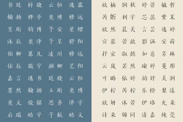 玩具店起名名字大全-名字大全-姓名学-华易算命网姓名