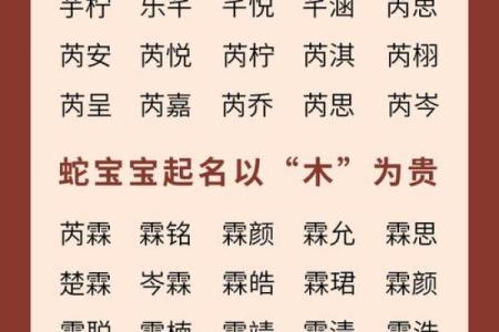 如何给属蛇酉时出生的男孩起名，适合什么字姓名