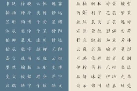 玩具店起名名字大全-名字大全-姓名学-华易算命网姓名
