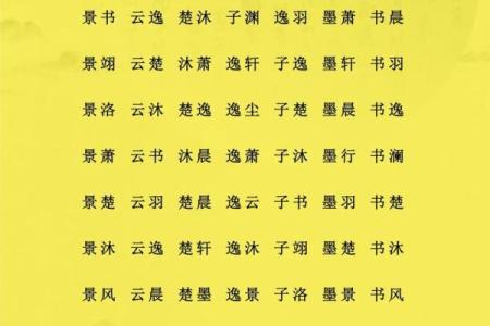 属猪子时出生的男孩如何起名，适合什么字姓名