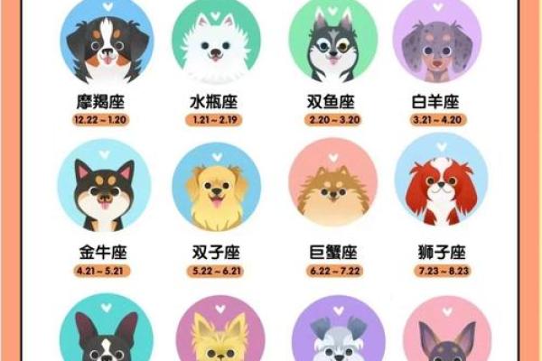 属狗女生好听的小名有哪些？女孩洋气的小名汇总姓名