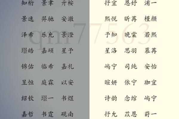 2019年3月27号巳时出生的男孩应该起什么样的名字姓名