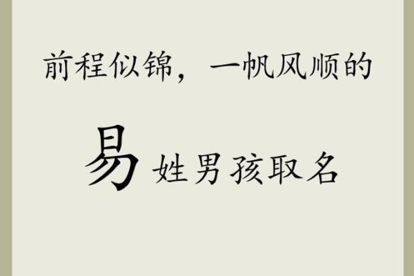 2019年4月2号辰时出生的男孩应该起什么样的名字姓名