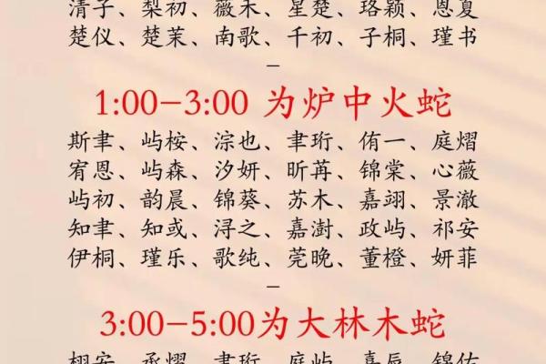 如何给属猪申时出生的男孩取个好名字姓名