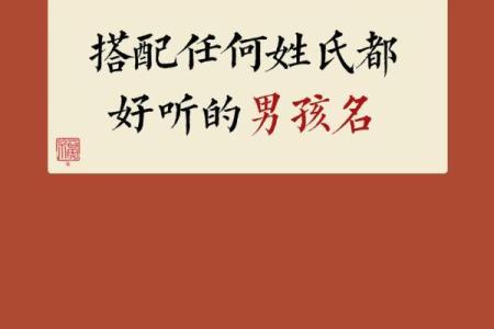2019年3月27号巳时出生的男孩应该起什么样的名字姓名