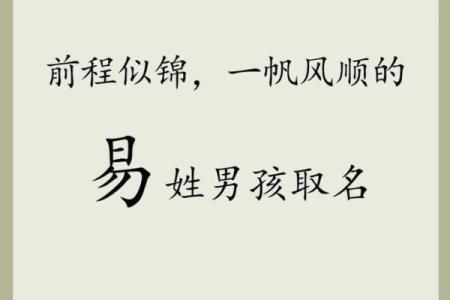 2019年4月2号辰时出生的男孩应该起什么样的名字姓名