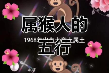 下午出生的属猴男孩起什么名，适合什么字姓名