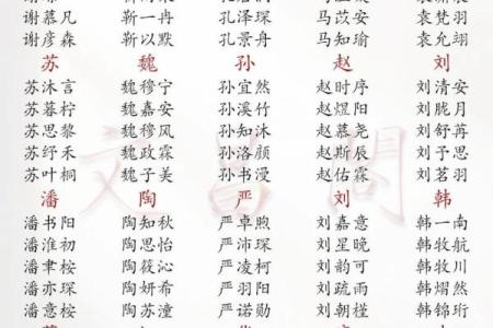 2019年3月12号子时出生的男孩应该起什么样的名字姓名