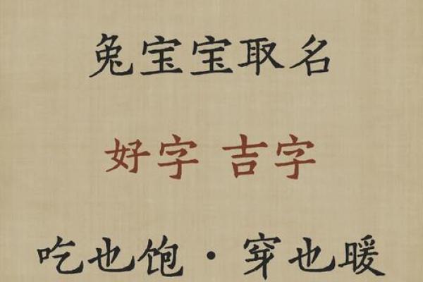 中午出生属兔的男孩应该怎么样取名字呢？姓名