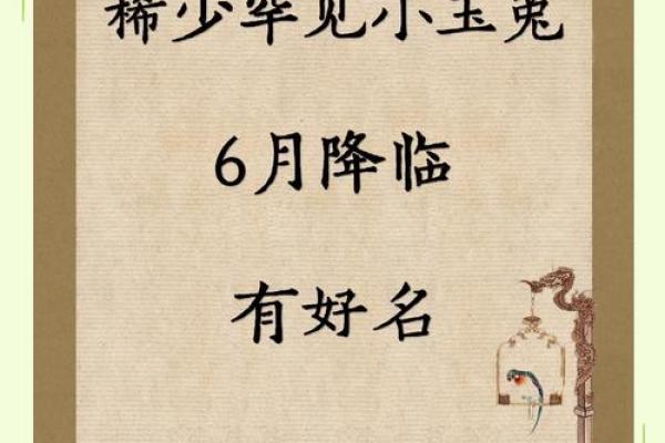 中午出生属兔的男孩应该怎么样取名字呢？姓名
