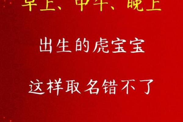 傍晚7点出生的属虎男孩要怎么样起名姓名