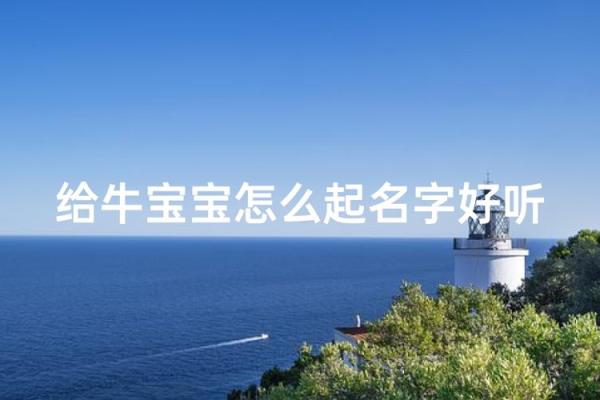 要如何给早上9点出生的属牛男孩取名字姓名