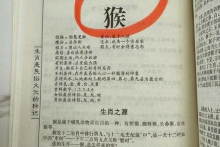 7月份出生的属猴男孩起什么名姓名