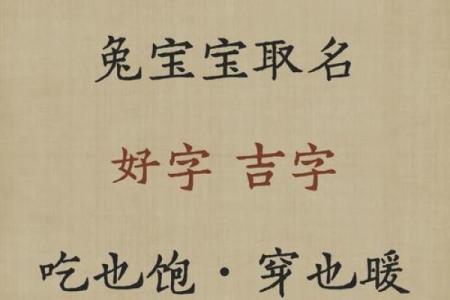 中午出生属兔的男孩应该怎么样取名字呢？姓名