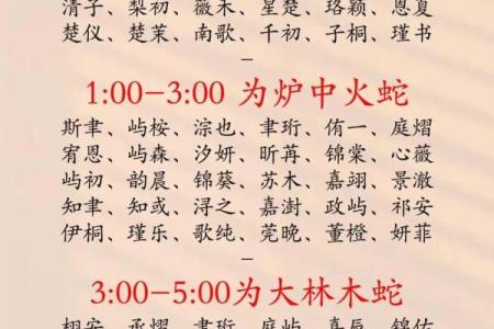 2019年5月2号子时出生的男孩要怎么起名字姓名