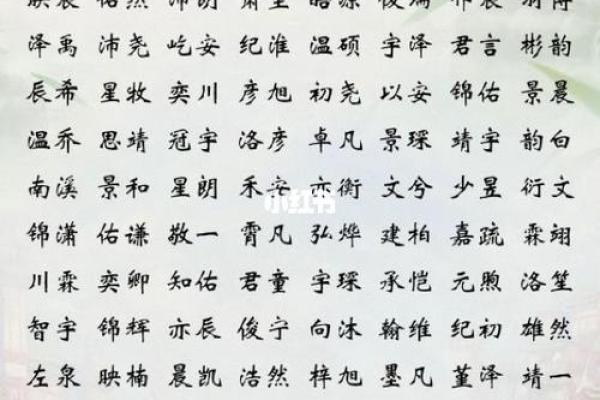 2019年3月18号卯时出生的男孩如何起名姓名 2019年3月18号卯时出生的男孩如何起名姓名
