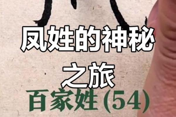 凤姓女孩名字大全-凤姓女孩起名字大全-凤姓名字大全姓名 凤姓女孩名字大全-凤姓女孩起名字大全-凤姓名字大全姓名