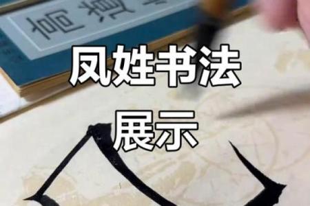 凤姓女孩名字大全-凤姓女孩起名字大全-凤姓名字大全姓名