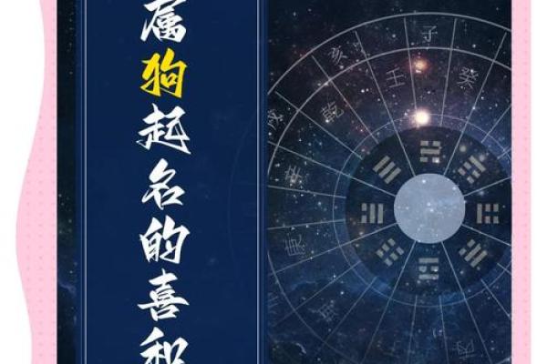 晚上八点出生的属狗男孩如何取名,宜用什么字姓名 晚上八点出生的属狗男孩如何取名,宜用什么字姓名