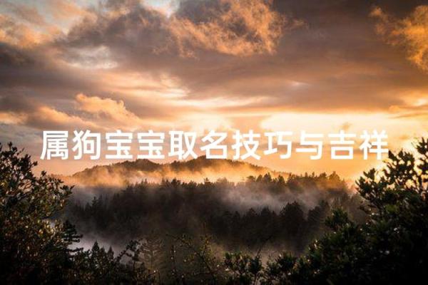 晚上八点出生的属狗男孩如何取名,宜用什么字姓名 晚上八点出生的属狗男孩如何取名,宜用什么字姓名