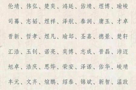 2019年6月17号丑时出生的男孩应该起什么样的名字姓名