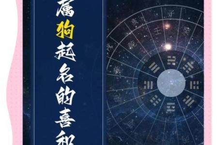 晚上八点出生的属狗男孩如何取名,宜用什么字姓名