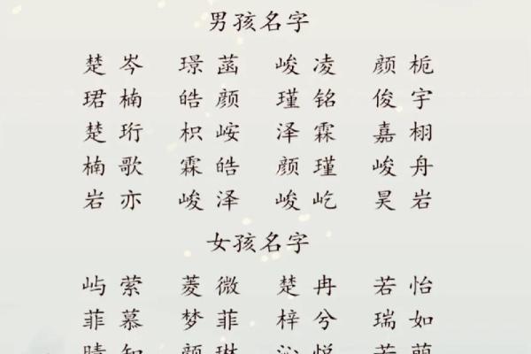 2019年3月25号丑时出生的男孩如何起名姓名