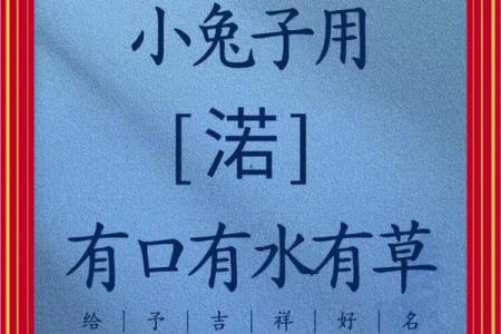 早上8点出生的属兔男孩如何取名姓名