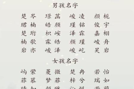 2019年3月25号丑时出生的男孩如何起名姓名
