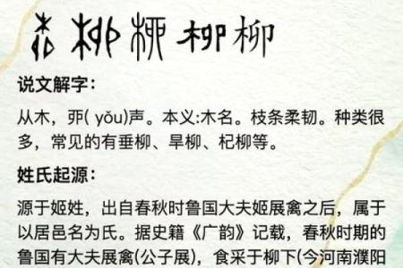 柳姓男孩名字大全-柳姓男孩起名字大全-柳姓名字大全姓名