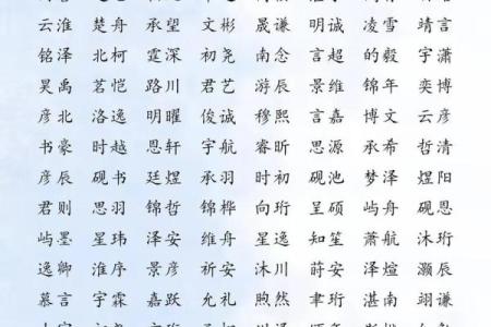 苗姓男孩名字大全-苗姓男孩起名字大全-苗姓名字大全姓名