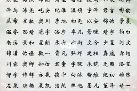 2019年6月15号子时出生的男孩要怎么起名字姓名