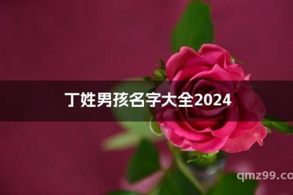 丁姓男孩名字大全-丁姓男孩起名字大全-丁姓名字大全姓名