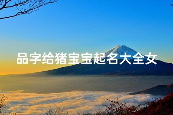 4月份出生的属猪男孩该怎么起名姓名