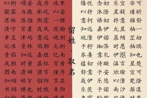 苏姓男孩名字大全-苏姓男孩起名字大全-苏姓名字大全姓名 苏姓男孩名字大全-苏姓男孩起名字大全-苏姓名字大全姓名