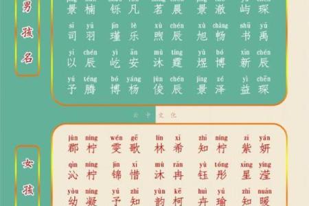 属龙巳时出生的男孩怎么取名,适合用什么字姓名